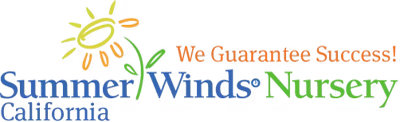 Summer Winds Nursery