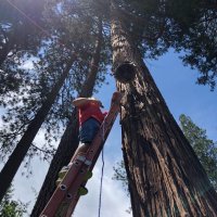 Tyler installing bell rope